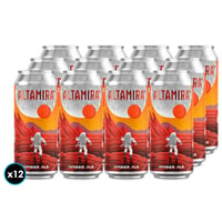 12x Cervezas Altamira Amber Ale 473cc