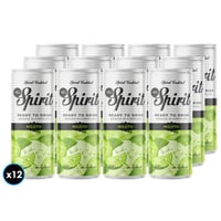 12x Coctel MG Spirit Mojito 330cc 5.5°alc.