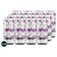 12x Espumante Frida Kahlo Moscato Lata 250cc