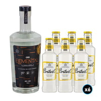 1x Gin Elemental 700cc 45º alc.+ 6x Agua Tónica Britvic 200cc