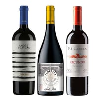 1x Vino Andes Plateau Cota 500 Cabernet Sauvignon 750cc + 1x Vino Floresta Cabernet Sauvignon 750cc + 1x Vino PS Garcia Facundo Ensamblaje 750cc