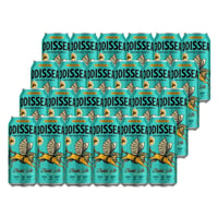 24 Cervezas Odissea Tropic Ale 470cc
