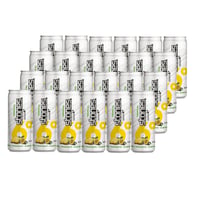 24 Cervezas Stones Sensation 269cc