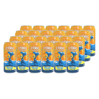 24x Cervezas Leyendas de Origen Pincoya 5° 473cc