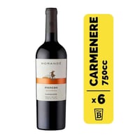 6 Vino Pionero Rsva Carmenere 750cc