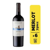 6 Vino Pionero Rsva Merlot 750cc