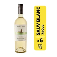 6 Vino Pionero Rsva Sauvignon Blanc 750cc
