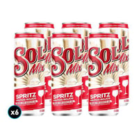 6x Cerveza Sol Mix Frutos Rojos 350cc 4,2°alc.