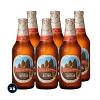 6x Cervezas Austral Torres del Paine en Botella 330cc