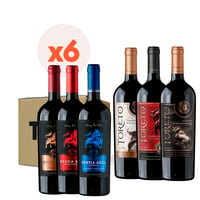 6x Mix Toreto Bestia Wines