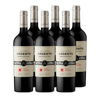 6x Vino Argento Estate Bottled Malbec 13.2° 750cc
