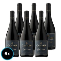 6x Vino Carmen Gran Reserva Petite Syrah 750cc