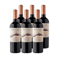 6x Vino Volcanes de Chile Tectonia Cepas