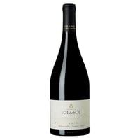 Aquitania Sol De Sol Pinot Noir 750 Ml