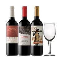 Arma tu Pack - 3x Vinos Adobe / Coyam / Mr. Wildman 750cc + Copa de Regalo