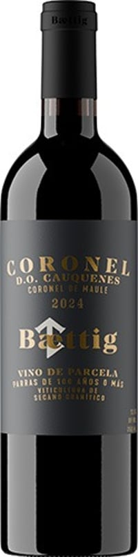 Baettig Coronel Ensamblaje Tinto 2024