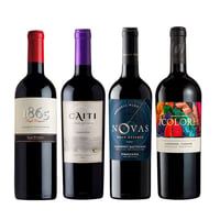BLACK WINE PACK N°5: Vino 7 Colores Gran Reserva Carmenere 750cc + Vino Caiti Gran Reserva Carmenere 750cc + Vino Novas Gran Reserva Cabernet Sauvignon 750cc + Vino 1865 Single Vineyard Cabernet Sauvignon 750cc