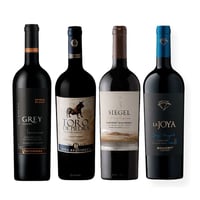 BLACK WINE PACK N°8: Vino Ventisquero Grey Carmenere 750cc + Vino Toro de Piedra Cabernet Sauvignon 750cc + Vino Siegel Single Vineyard Cabernet Sauvignon 750cc + Vino La Joya Bisquertt Single Vineyard Carmenere 750cc