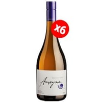 Caja de 6 Amayna Sauvignon Blanc (9.990 c/u) (f2)