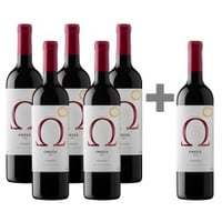 Caja de 6 unidades Omega, Viña Vik , Carmenere 5*6 ( PAGUE 5, LLEVE 6)