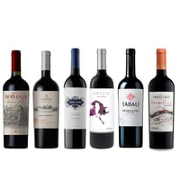 Caja Mix 6 vinos Gran Reserva Carmenere