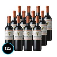 CAJA MONTES ALPHA (Cabernet): 12x Vino Montes Alpha Cabernet Sauvignon 750cc