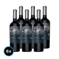 CAJA ODFJELL ORZADA (Carmenere): 6x Vino Odfjell Orzada Carmenere 750cc