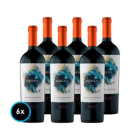 CAJA SIDERAL: 6x Vino Sideral Blend 750cc