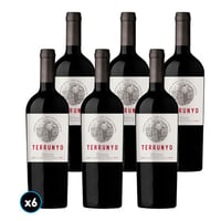 CAJA TERRUNYO (Carmenere): 6x Vino Terrunyo Carmenere 750cc