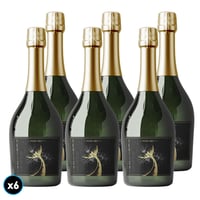 CAJA VERTICAL EXTRA BRUT: 6x Espumante Vertical Extra Brut 750cc