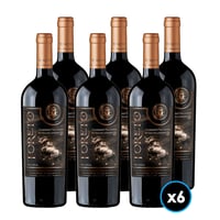 CAJA VINO TORETO RESERVA DE FAMILIA (CABERNET SAUVIGNON): 6x Vino Toreto Reserva de Familia Cabernet Sauvignon 750cc