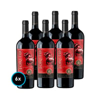 CAJA VINO TORETO RESERVA PRIVADA (Carmenere): 6x Vino Toreto Reserva Privada Carmenere 750cc