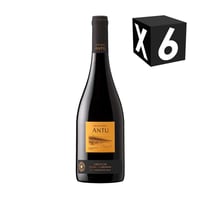 Caja X6 – Montgras Antu Grenache/syrah/carignan