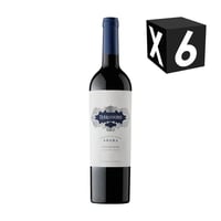 Caja X6 – Terranoble Azara Gran Reserva Carmenere