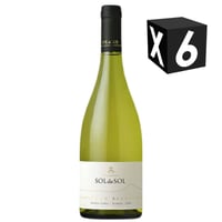 Caja X6 – Vino Aquitania Sol De Sol Sauvignon Blanc 750ml