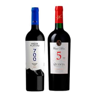 DUO ANDES PLATEAU - CASA SILVA: 1x Vino Andes Plateau 700 High Altitude Red Blend 750cc + 1x Vino Casa Silva Quinta Generación Ensamblaje 750cc
