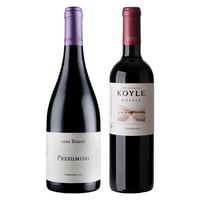 DUO CARMENERE PREMIUM: 1x Vino Casa Bauzá Presumido Carmenere 750cc + 1x Vino Koyle Royale Carmenere 750cc