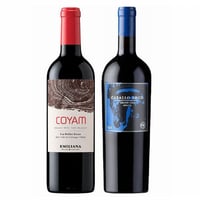 DUO COYAM - CABALLO LOCO: 1x Vino Orgánico COYAM 750cc + 1x Vino Caballo Loco Grand Cru Apalta 750cc
