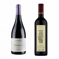 DÚO TRIPLE C - PRESUMIDO: 1x Vino Triple C 750cc + 1x Vino Casa Bauzá Presumido Carmenere 750cc