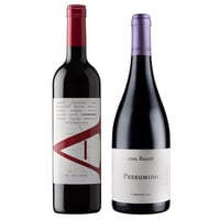 DUO VIK A - PRESUMIDO: 1x Vino VIK A Carmenere 750cc + 1x Vino Casa Bauzá Presumido Carmenere 750cc