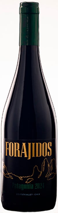 Forajidos Patagonia Cinsault 2024