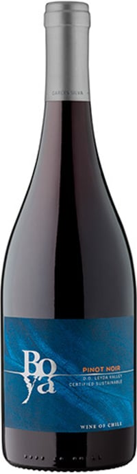 Garces Silva Boya Pinot Noir 2020