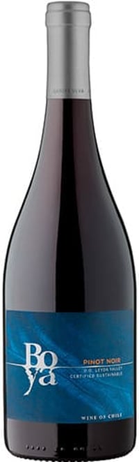 Garces Silva Boya Pinot Noir 2021
