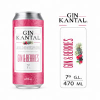 Gin berries Kantal lata 470 cc