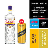 Gin Gordon´s London Dry Gin 750 Ml. + Schweppes Tónica Sin Azúcar 6 X 310 Ml.