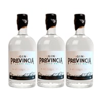 Gin Provincia Botella 700cc X3