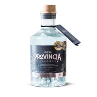 Gin Provincia Patagonia 40 700cc