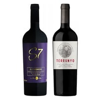 GRAN DUO DE TERRIOR: 1x Vino Casa Silva S7 Single Block Carmenere 750cc + 1x Vino Terrunyo Cabernet Sauvignon 750cc