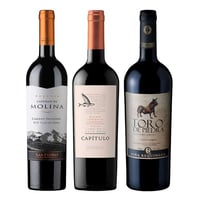 GRAN TRIO Nº4: 1x Vino Castillo de Molina Reserva Cabernet Sauvignon 750cc + 1x Vino Odfjell Gran Reserva Capítulo Flying Fish (CA/CS/MA/SY) 750cc + 1x Vino Toro de Piedra Cabernet Sauvignon 750cc