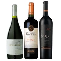 GRAN TRIO: Vino Casas Del Bosque Gran Reserva Syrah + Vino Casa Silva Gran Terroir Cabernet + Vino Ventisquero Grey Carmenere